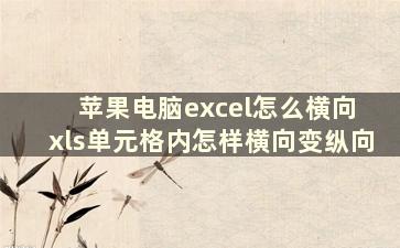 苹果电脑excel怎么横向 xls单元格内怎样横向变纵向